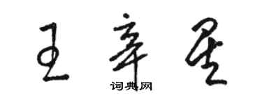 駱恆光王辛星草書個性簽名怎么寫