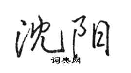 駱恆光瀋陽行書個性簽名怎么寫