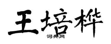 翁闓運王培樺楷書個性簽名怎么寫