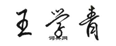 駱恆光王學青行書個性簽名怎么寫