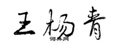 曾慶福王楊青行書個性簽名怎么寫
