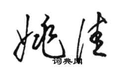 駱恆光姚佳草書個性簽名怎么寫