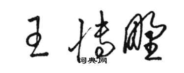 駱恆光王博野草書個性簽名怎么寫