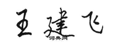 駱恆光王建飛行書個性簽名怎么寫