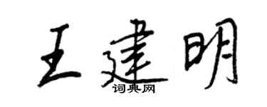 王正良王建明行書個性簽名怎么寫