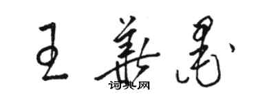 駱恆光王華墨草書個性簽名怎么寫