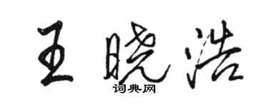 駱恆光王曉浩行書個性簽名怎么寫