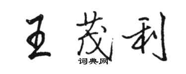 駱恆光王茂利行書個性簽名怎么寫