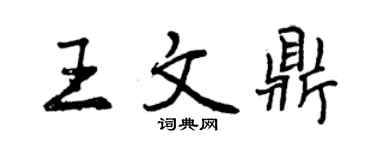 曾慶福王文鼎行書個性簽名怎么寫