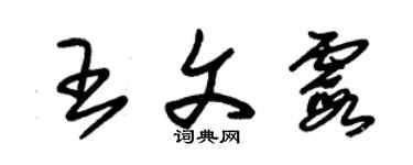 朱錫榮王文霞草書個性簽名怎么寫