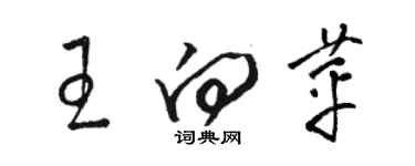 駱恆光王向苹草書個性簽名怎么寫