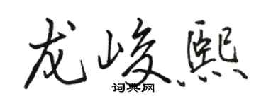 駱恆光龍峻熙行書個性簽名怎么寫