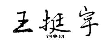 曾慶福王挺宇行書個性簽名怎么寫