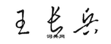駱恆光王長兵草書個性簽名怎么寫