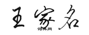 駱恆光王家名行書個性簽名怎么寫