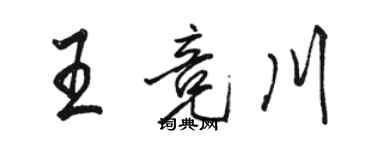 駱恆光王競川行書個性簽名怎么寫