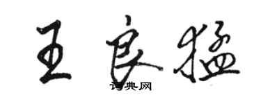 駱恆光王良猛行書個性簽名怎么寫