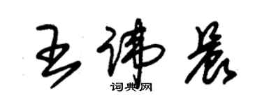 朱錫榮王諱晨草書個性簽名怎么寫