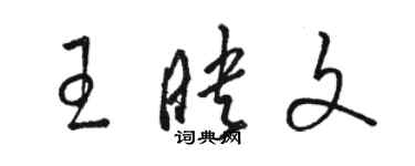 駱恆光王映文草書個性簽名怎么寫