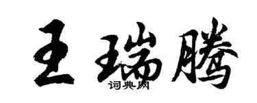 胡問遂王瑞騰行書個性簽名怎么寫