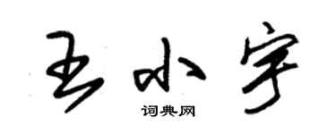 朱錫榮王小宇草書個性簽名怎么寫