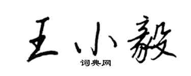 王正良王小毅行書個性簽名怎么寫