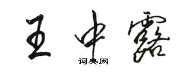 駱恆光王中露行書個性簽名怎么寫