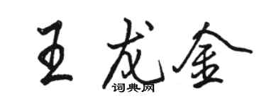 駱恆光王龍金行書個性簽名怎么寫