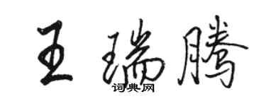 駱恆光王瑞騰行書個性簽名怎么寫