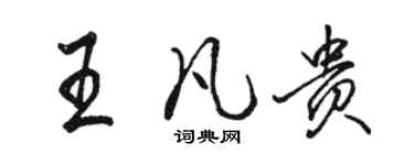 駱恆光王凡貴行書個性簽名怎么寫