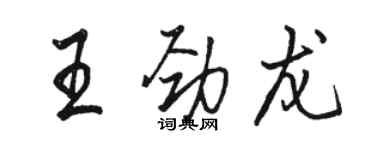 駱恆光王勁龍行書個性簽名怎么寫