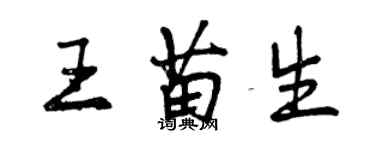 曾慶福王苗生行書個性簽名怎么寫