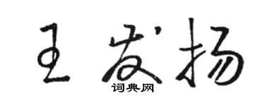駱恆光王發揚草書個性簽名怎么寫