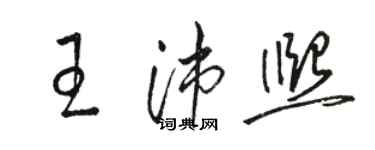 駱恆光王沛熙草書個性簽名怎么寫