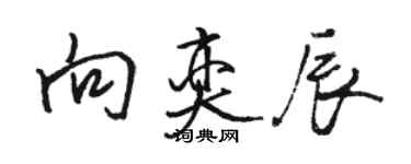 駱恆光向奕辰行書個性簽名怎么寫