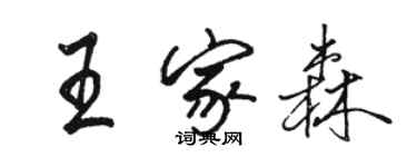 駱恆光王家森行書個性簽名怎么寫