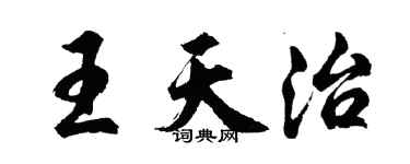 胡問遂王天治行書個性簽名怎么寫
