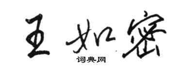 駱恆光王如密行書個性簽名怎么寫