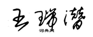 朱錫榮王瑞潛草書個性簽名怎么寫