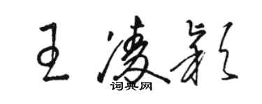 駱恆光王凌穎草書個性簽名怎么寫