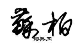 朱錫榮蘇柏草書個性簽名怎么寫