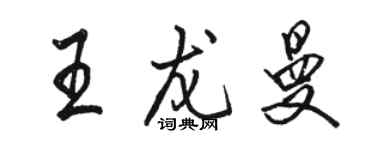 駱恆光王龍曼行書個性簽名怎么寫