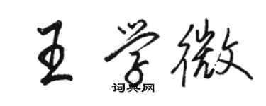 駱恆光王學微行書個性簽名怎么寫