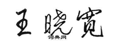 駱恆光王曉寬行書個性簽名怎么寫