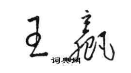 駱恆光王贏草書個性簽名怎么寫