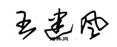 朱錫榮王建風草書個性簽名怎么寫