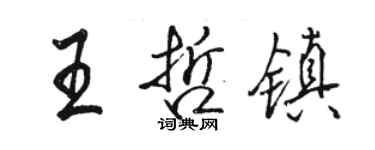 駱恆光王哲鎮行書個性簽名怎么寫