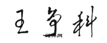 駱恆光王爭科草書個性簽名怎么寫