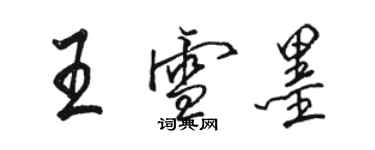 駱恆光王雪墨行書個性簽名怎么寫