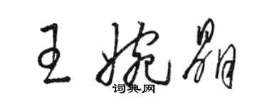 駱恆光王婉晶草書個性簽名怎么寫